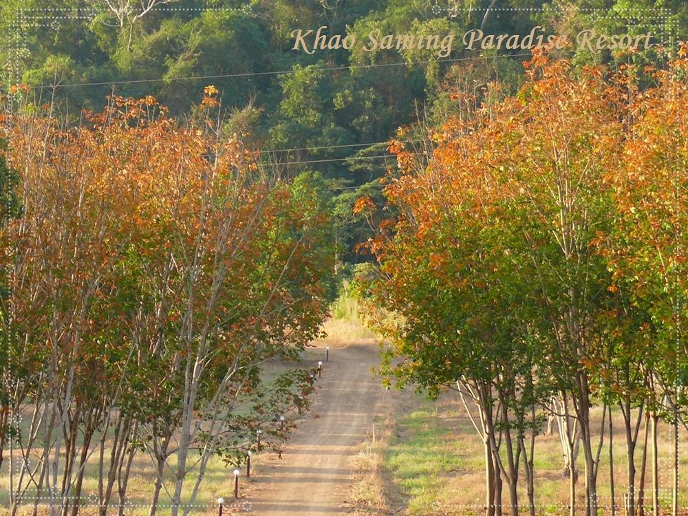 Khao Saming Paradise Resort Trat Zewnętrze zdjęcie